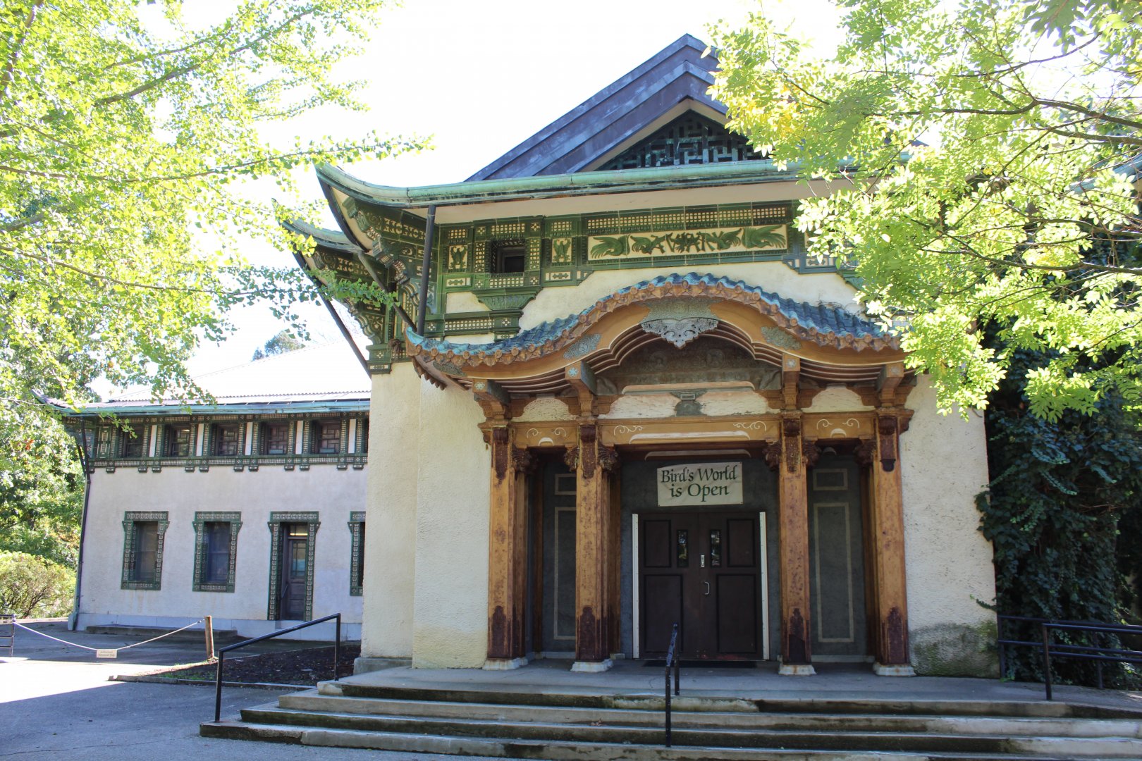 Birds World - Oct 2017