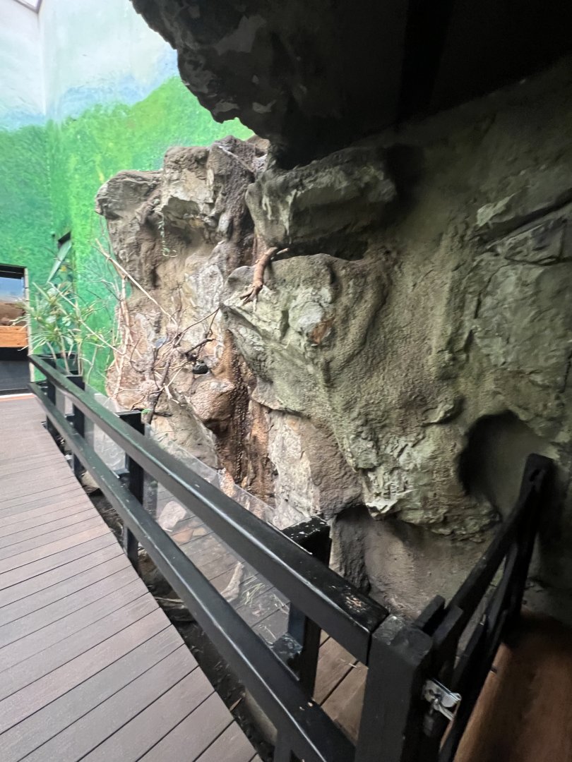 Bird’s World Rainforest area