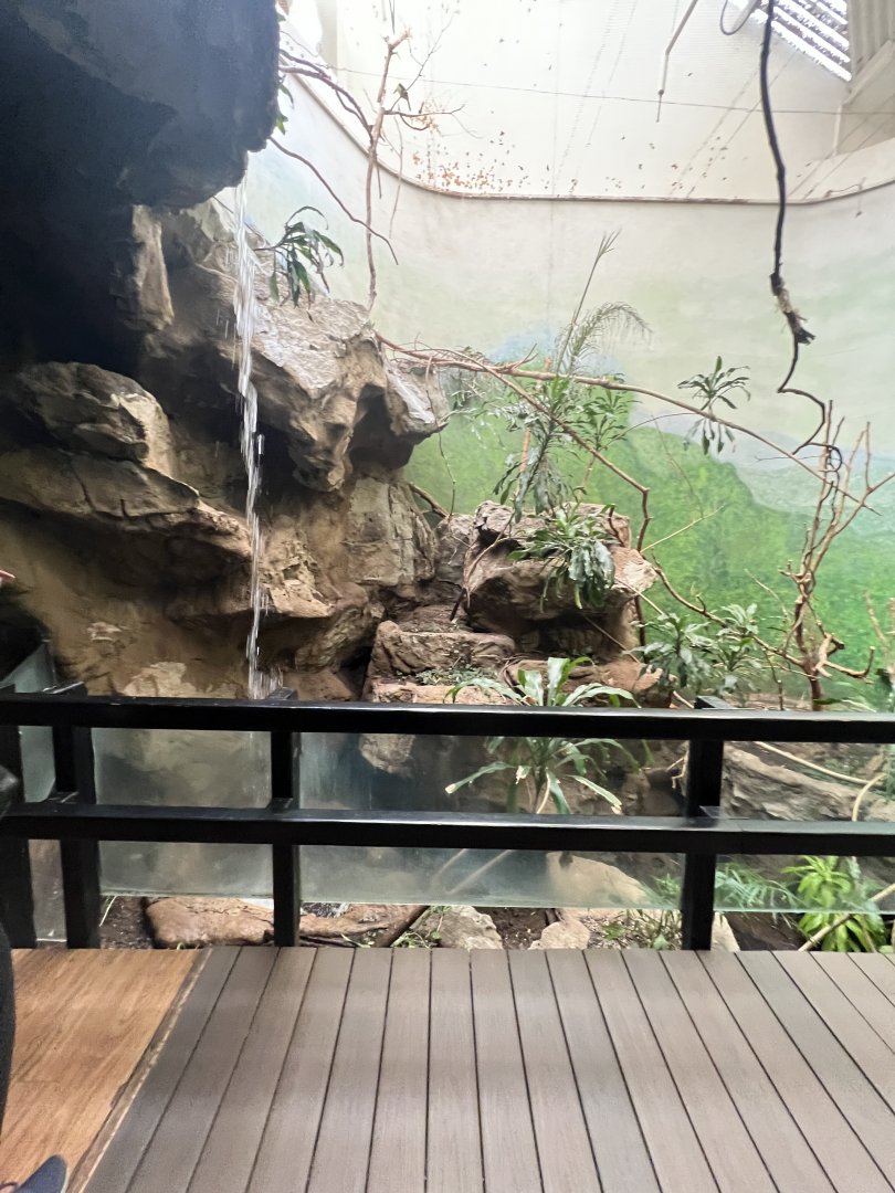 Bird’s World Rainforest area