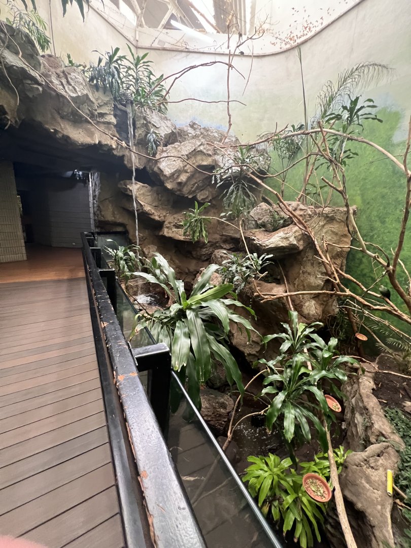 Bird’s World Rainforest area