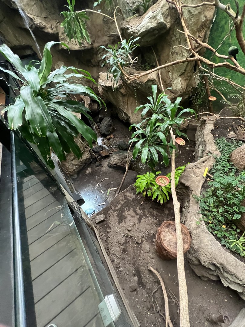 Bird’s World Rainforest area