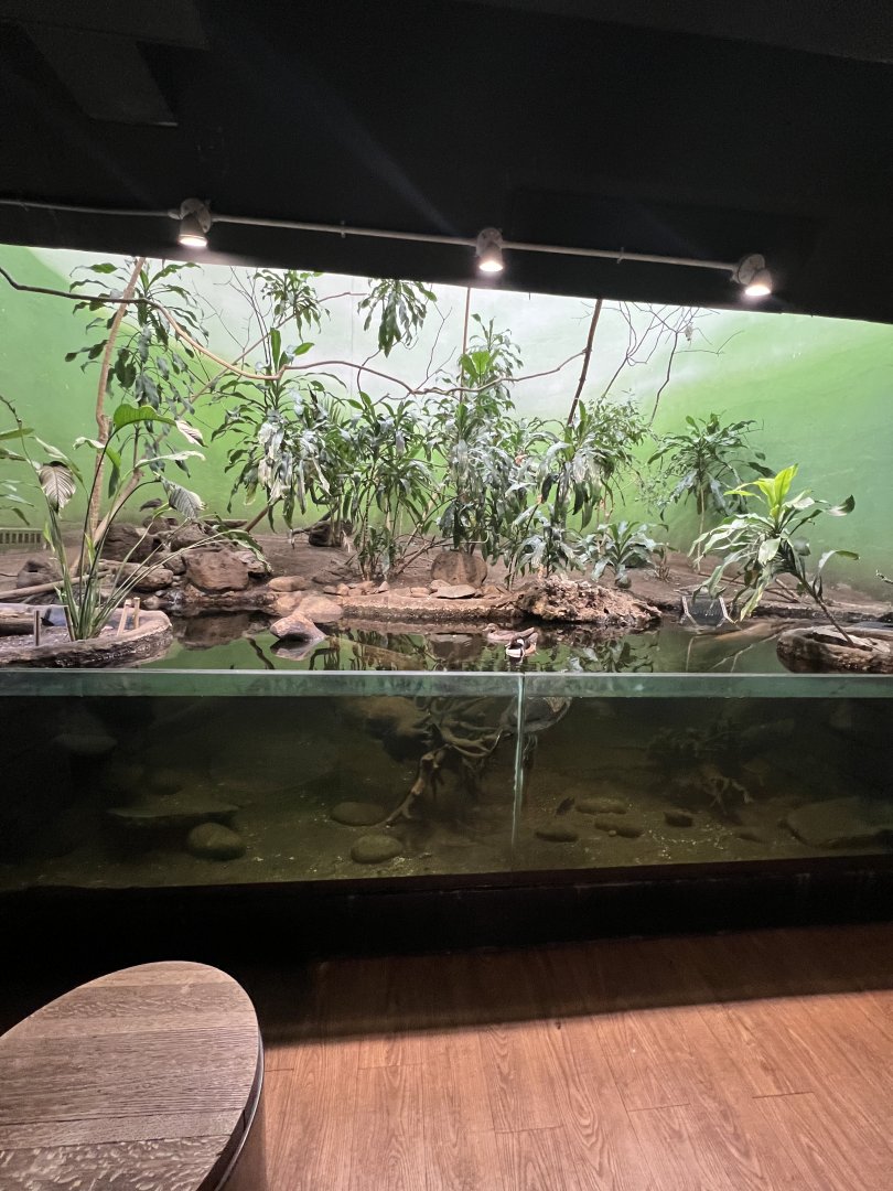 Bird’s World Riverside area