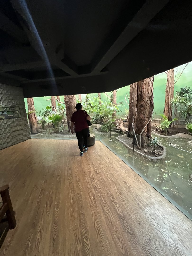 Bird’s World Swamp area