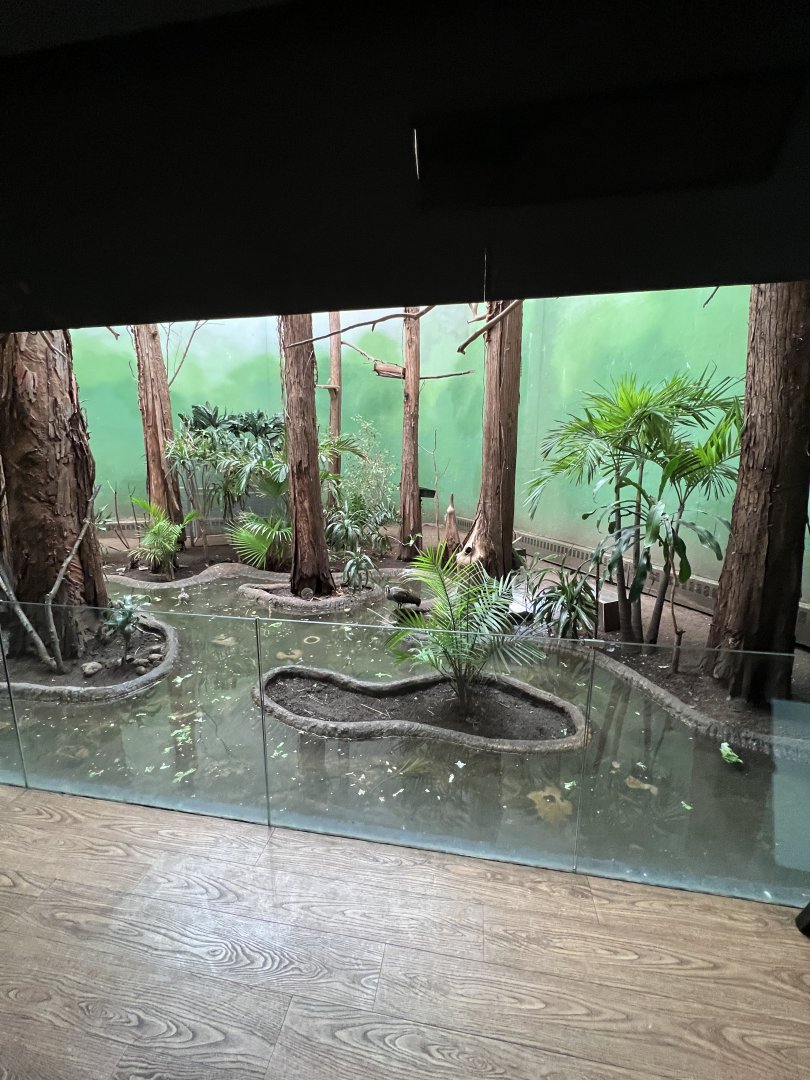 Bird’s World Swamp area