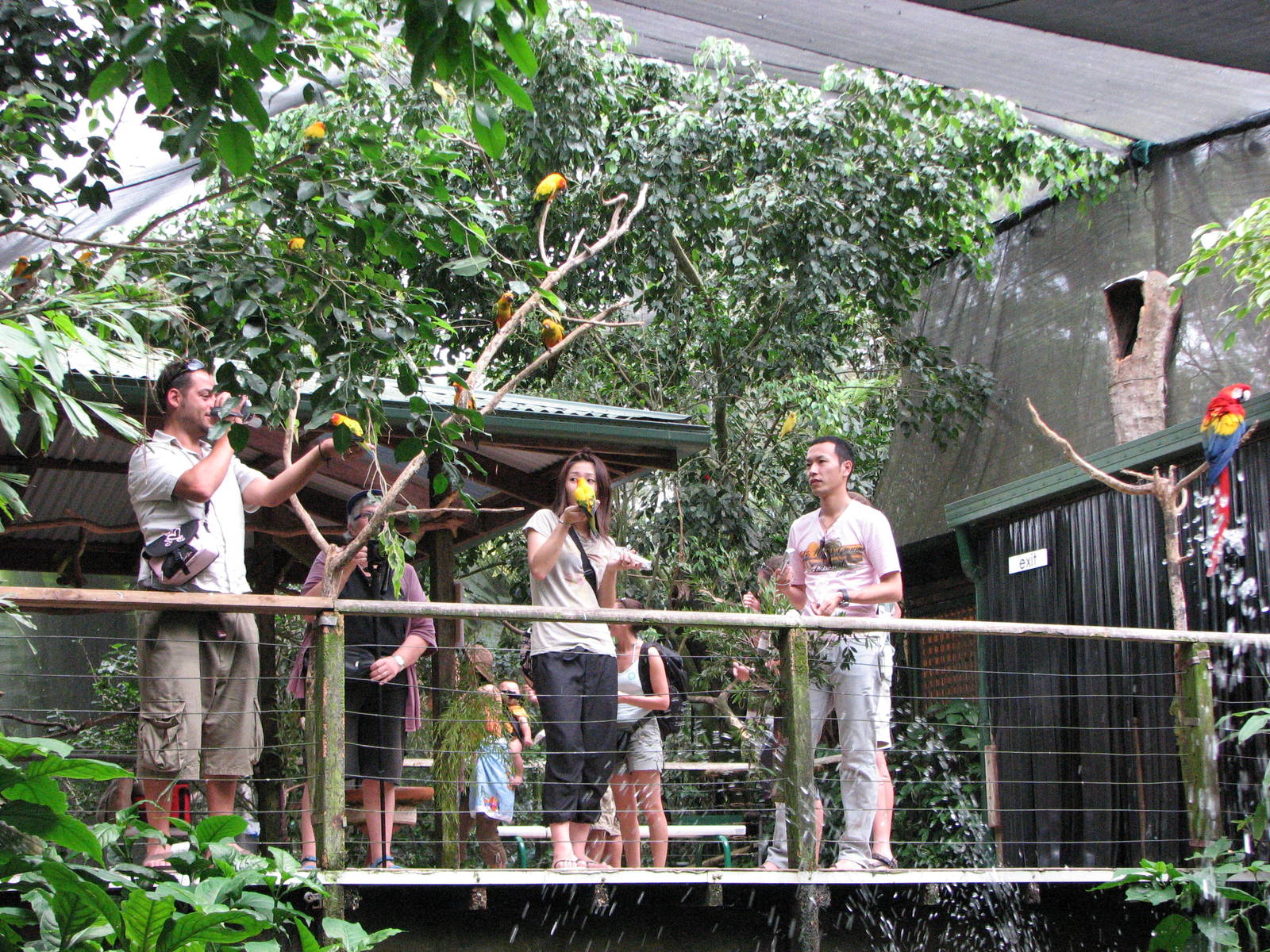 Birdworld Kuranda 2007 - Feeding platform