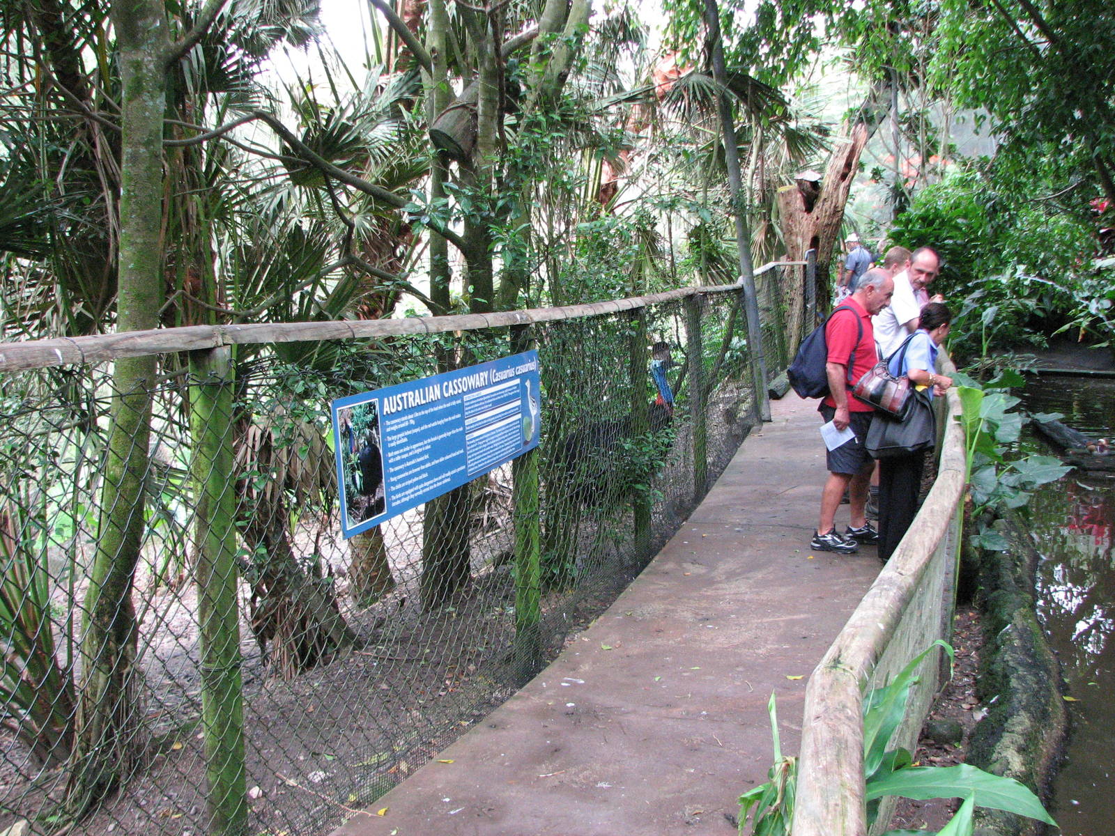 Birdworld Kuranda 2007 - Pathway in front of the Cassowary enclosure