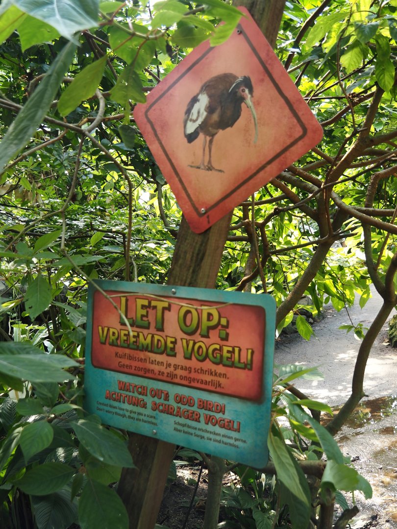 Birdy Bush - Madagascar crested ibis warning sign, 2024-06-23