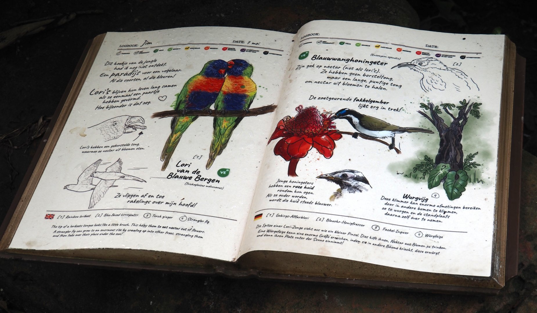 Birdy Bush - Rainbow lorikeet and Blue-faced honeyeater signage, 2024-06-23