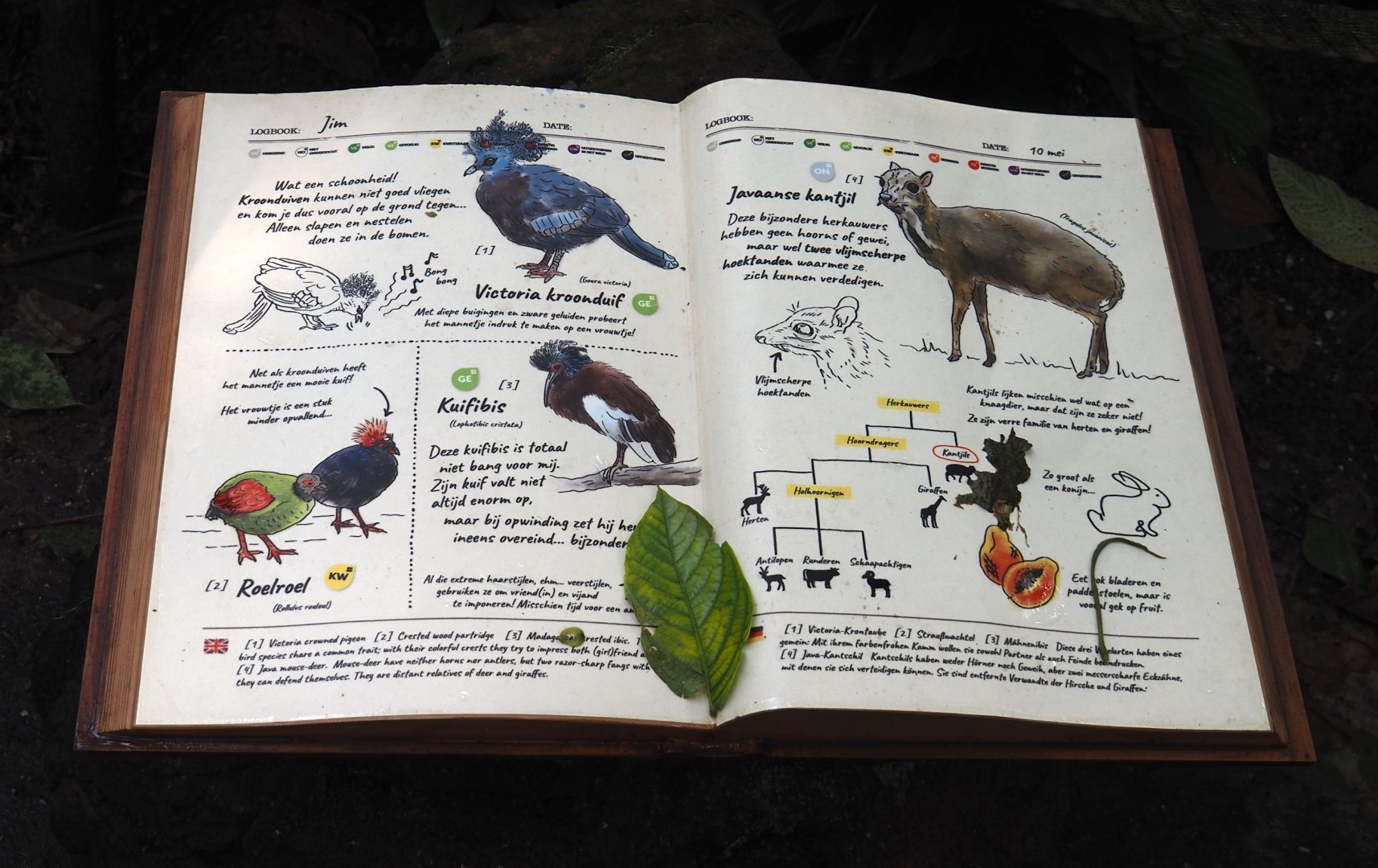 Birdy Bush signage, 2024-06-23