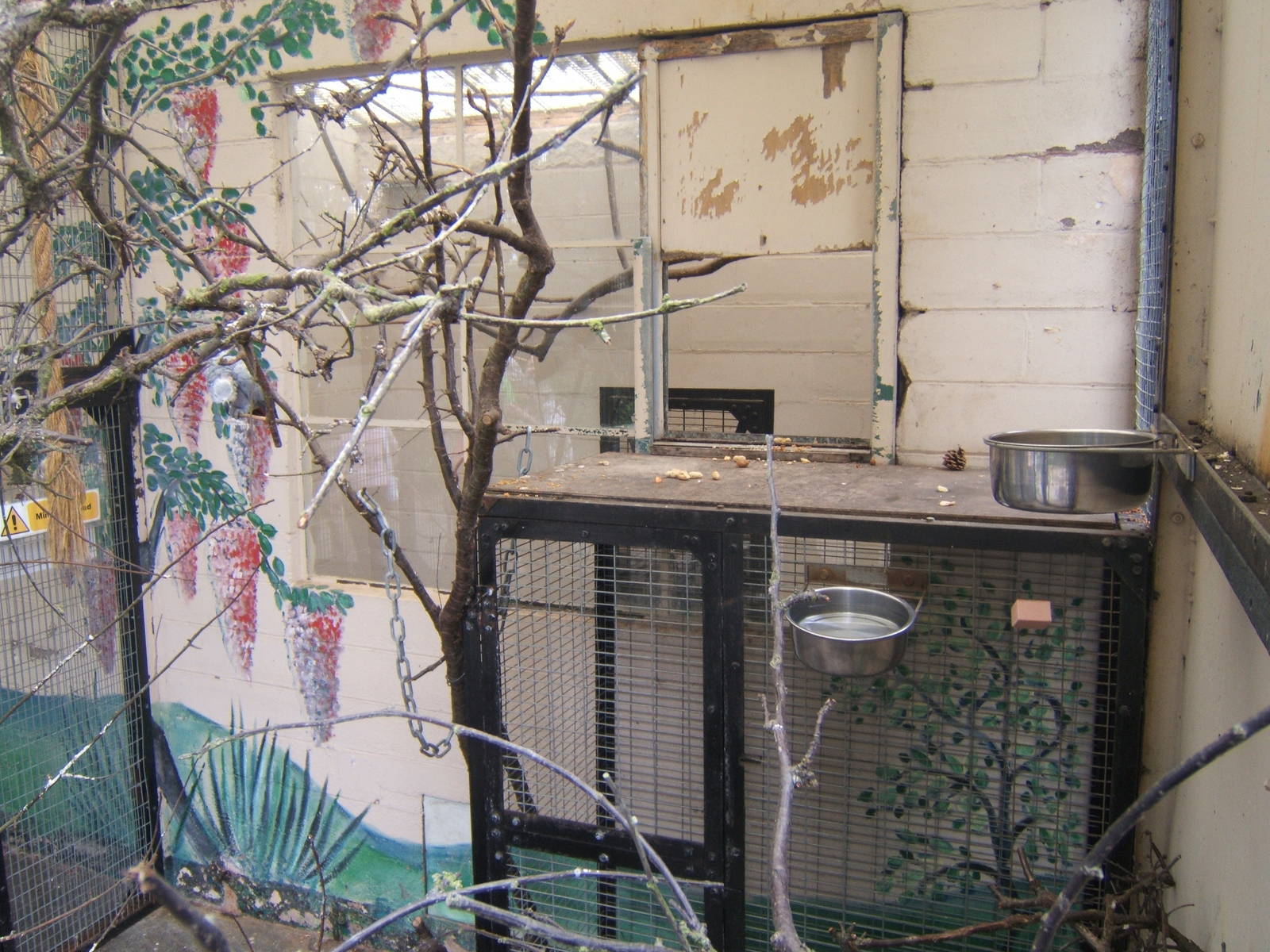 Birmingham Botanical Gardens