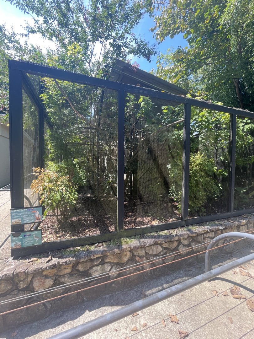 Birmingham Zoo- Bird Gardens- Cape Thick-knee and red-billed hornbill exhibit