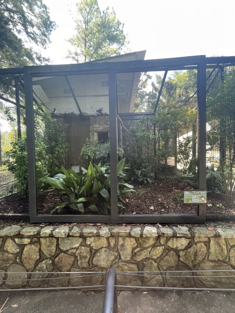 Birmingham Zoo- Bird Gardens- Green aracari exhibit