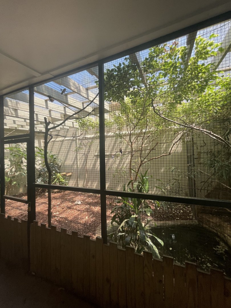 Birmingham Zoo- Bird Gardens- Mixed-species bird house