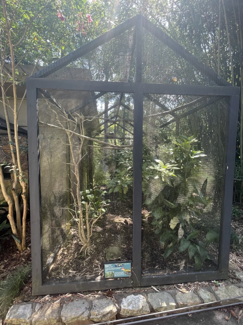 Birmingham Zoo- Bird Gardens- Red-crested turaco exhibit