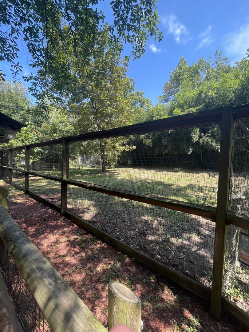 Birmingham Zoo- Bird Gardens- Red-crowned crane exhibit