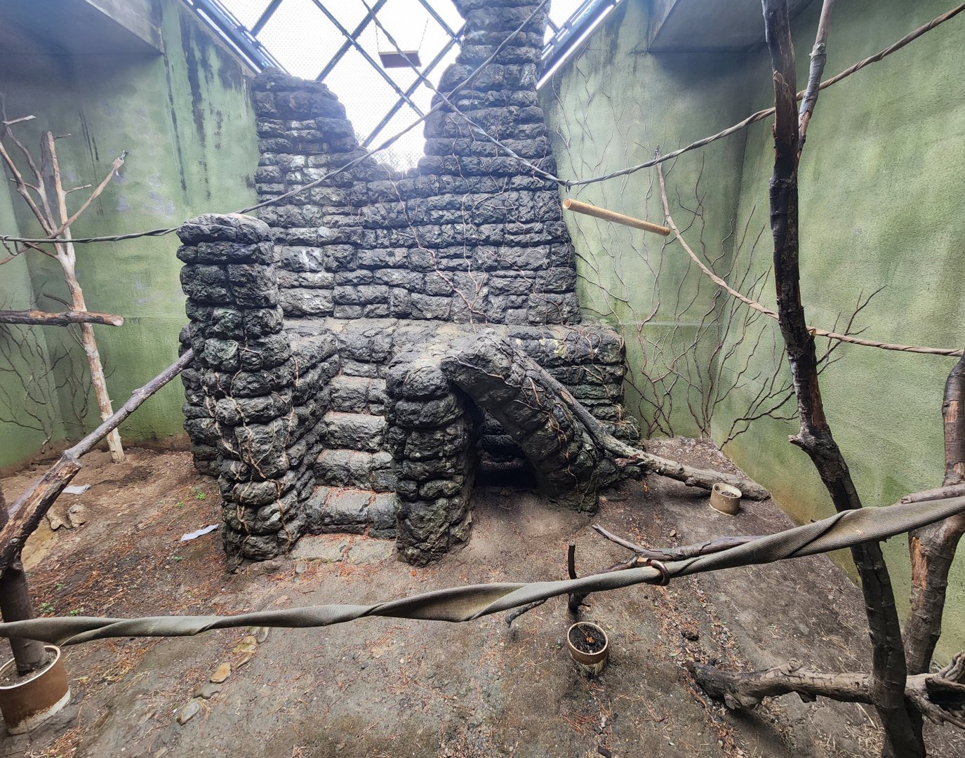 Birmingham Zoo - Black Howler Monkey exhibit