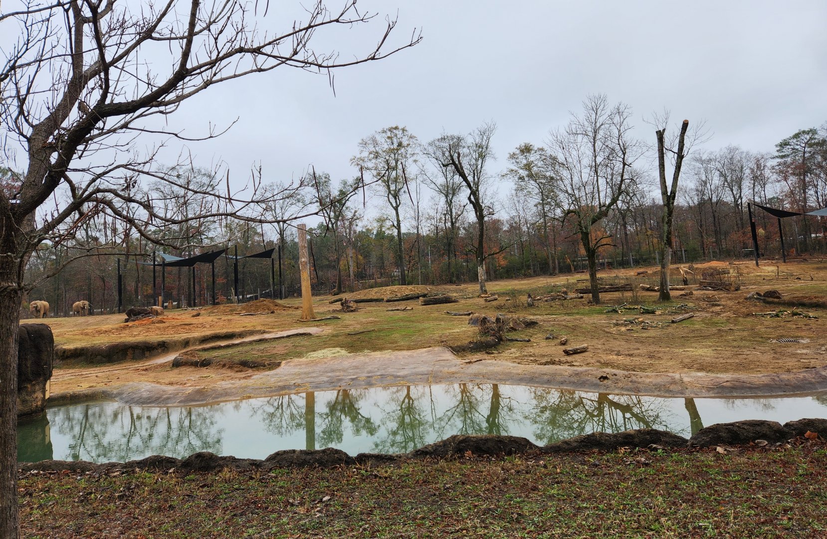 Birmingham Zoo - Boma Yard watering hole area
