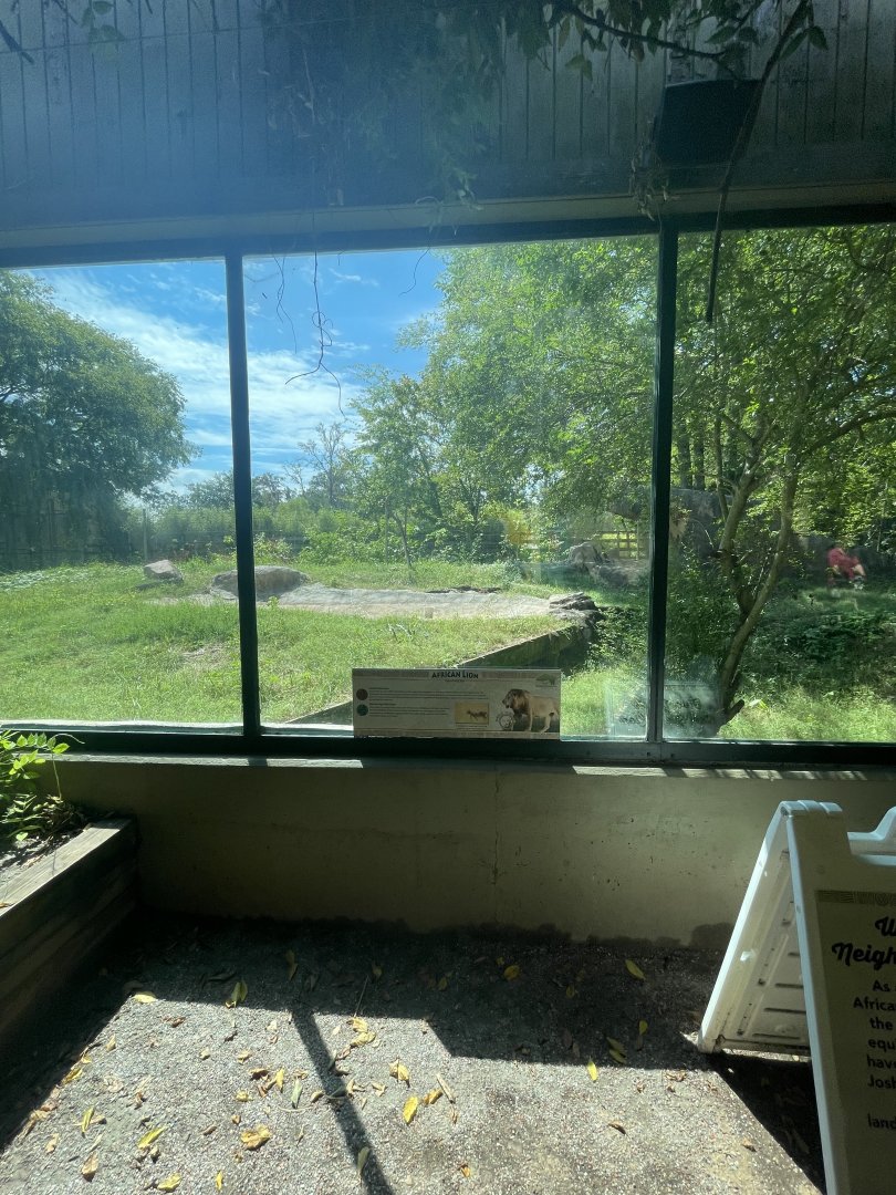 Birmingham Zoo- Cat House- Former lion exhibit (now empty)