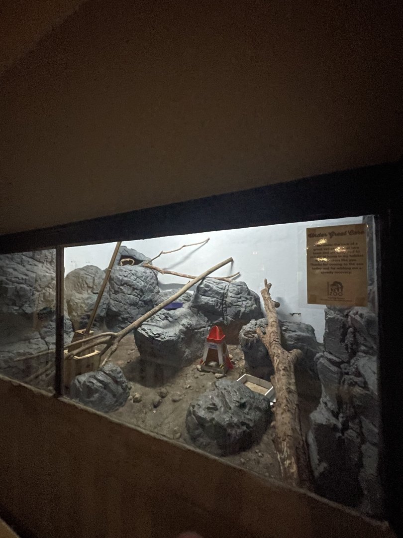 Birmingham Zoo- Cat House- Pallas’ cat exhibit #3