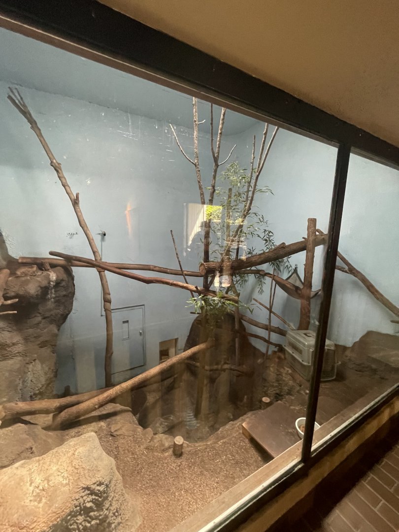 Birmingham Zoo- Cat House- Red panda exhibit