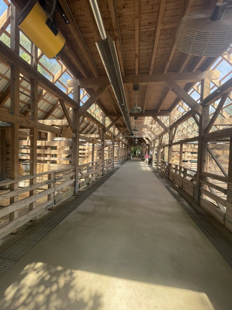 Birmingham Zoo- Children’s Zoo- Barn interior