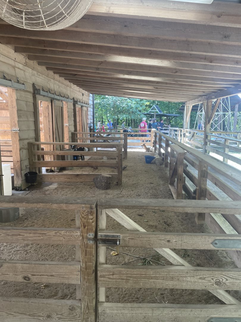 Birmingham Zoo- Children’s Zoo- Goat and pig pens