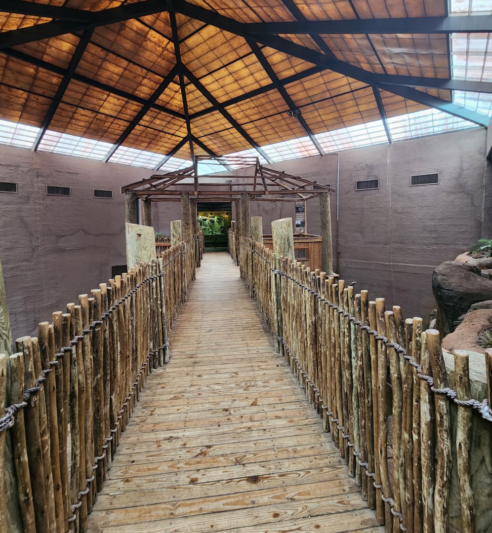 Birmingham Zoo - Giant Otter bridge path