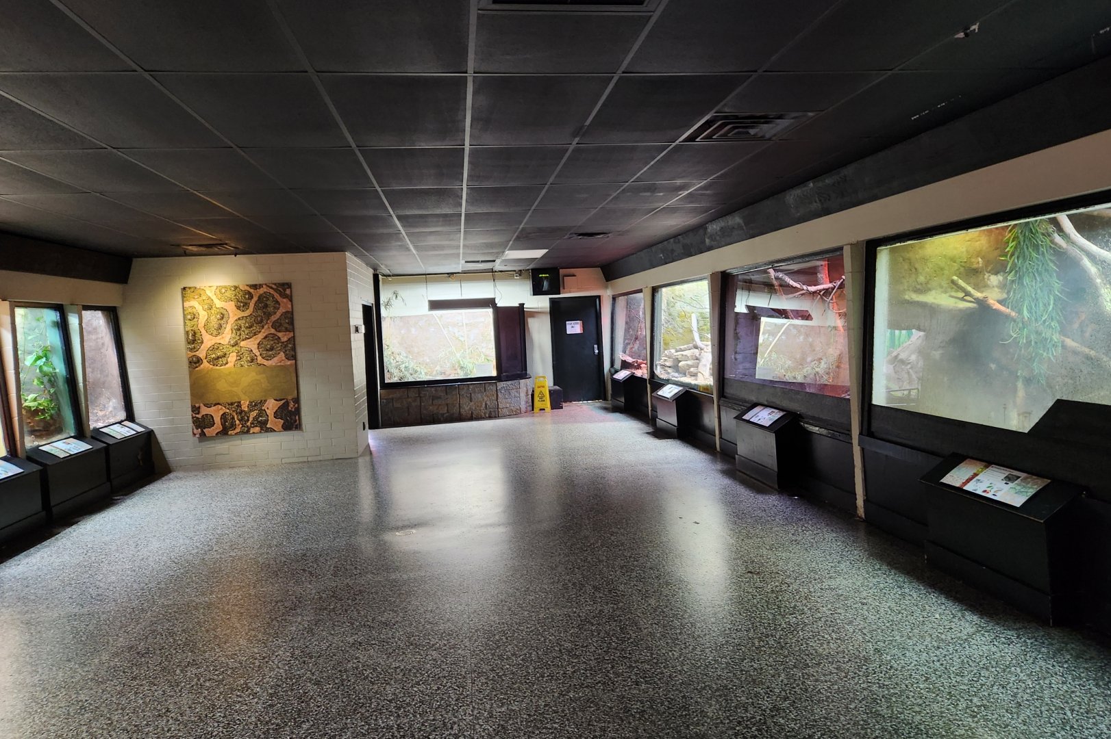 Birmingham Zoo - Inside of reptile house