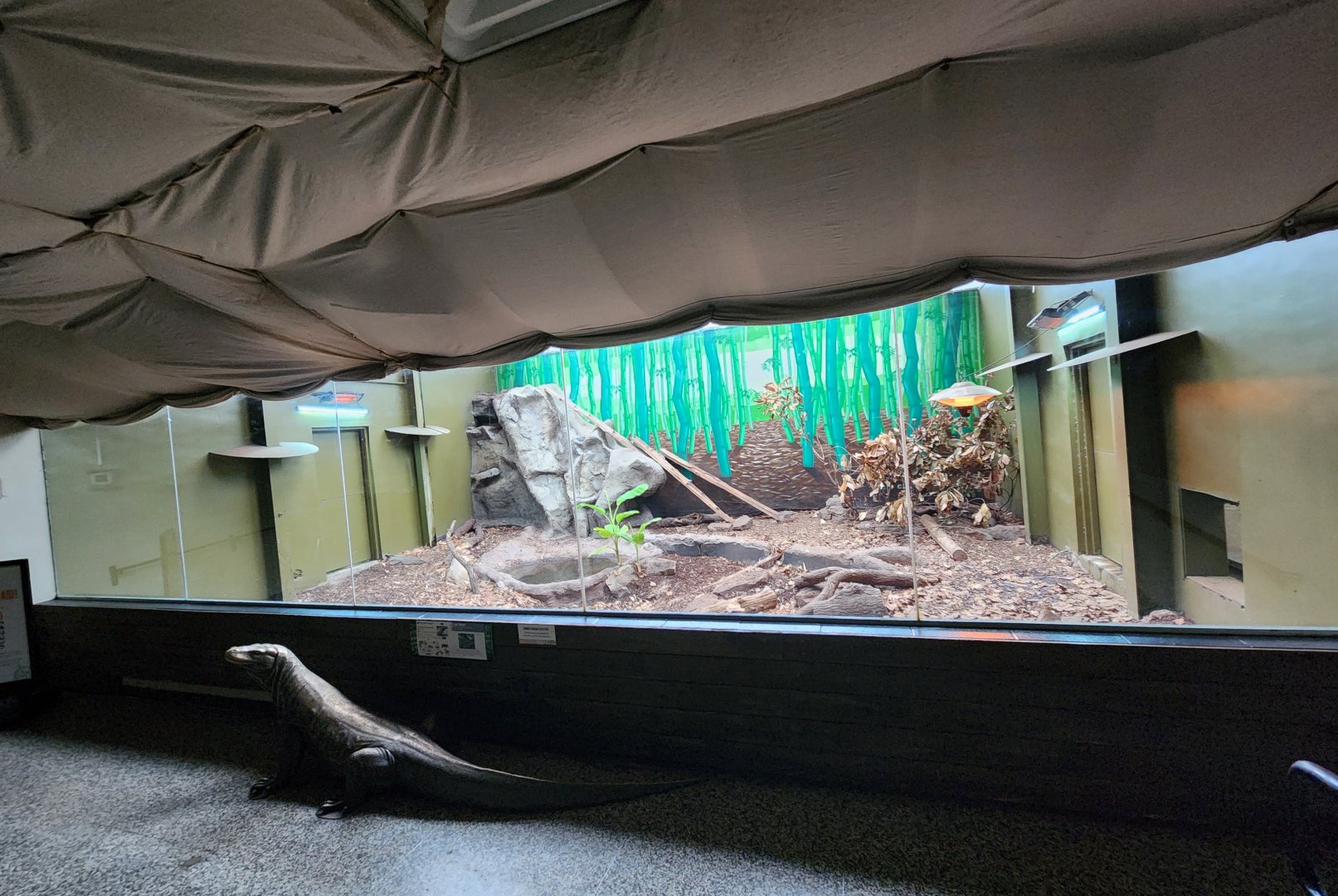 Birmingham Zoo - Komodo Dragon exhibit