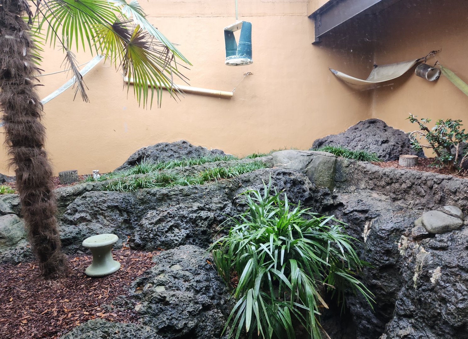 Birmingham Zoo - Lemur exhibit