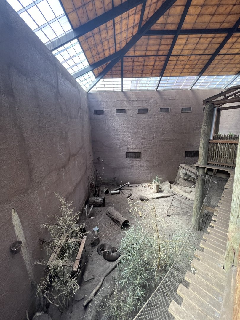 Birmingham Zoo- Primate House- Giant otter exhibit