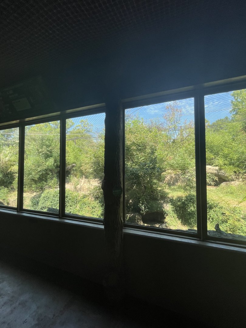 Birmingham Zoo- Primate House- Jaguar exhibit