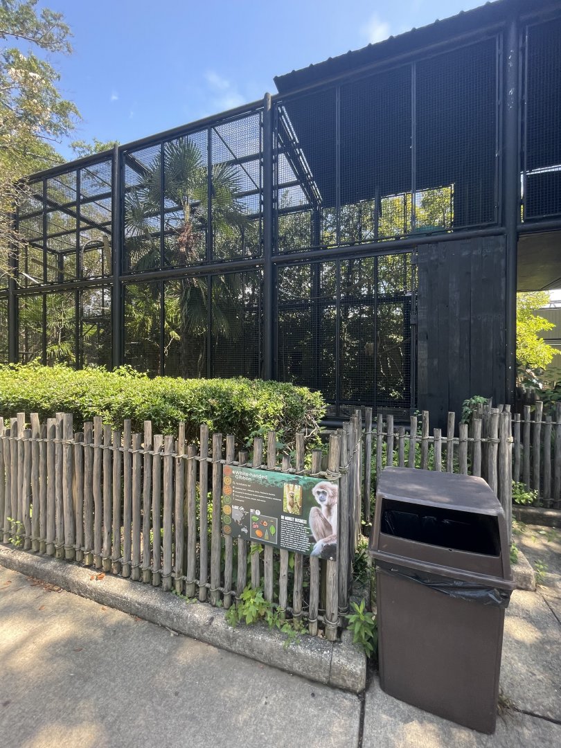 Birmingham Zoo- Primate House- White-handed gibbon exhibit