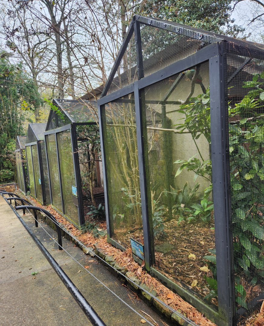 Birmingham Zoo - Rows of aviaries
