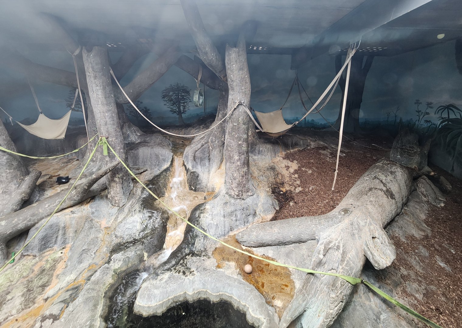 Birmingham Zoo - Sumatran Orangutan exhibit