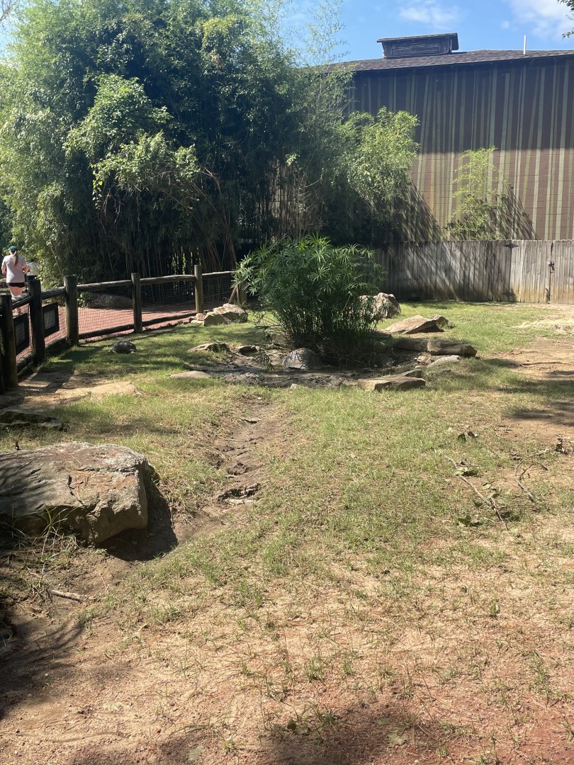 Birmingham Zoo- Trails of Africa- Aldabra giant and radiated tortoise exhibit