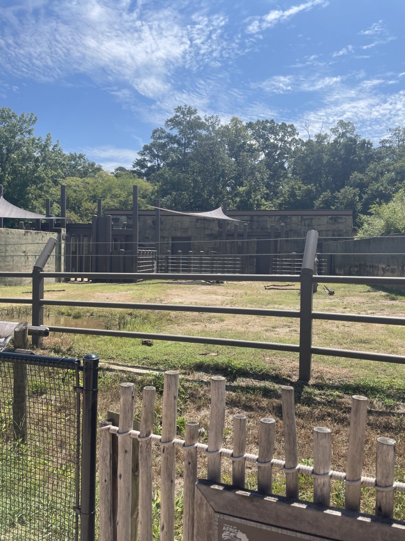 Birmingham Zoo- Trails of Africa- Black rhinoceros exhibit