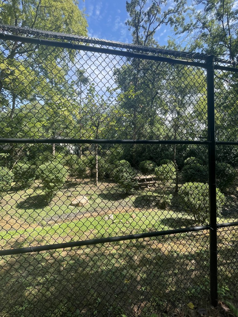 Birmingham Zoo- Wilds of Alabama- Black bear exhibit
