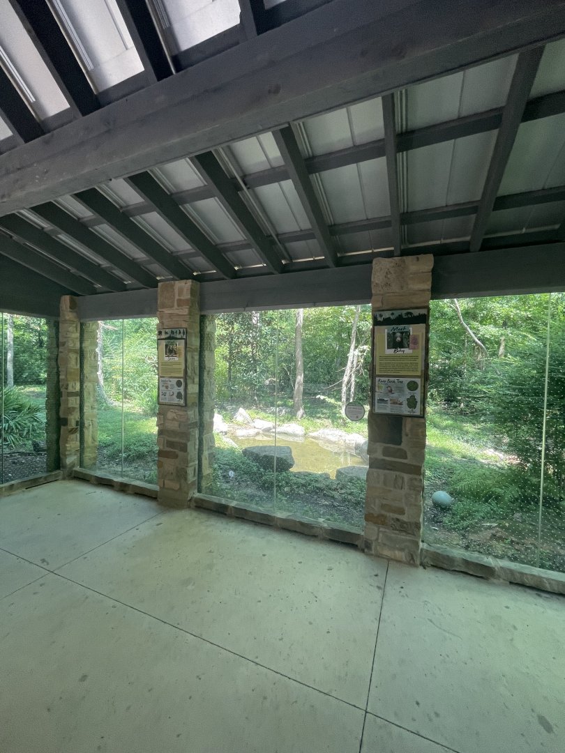 Birmingham Zoo- Wilds of Alabama- Black bear viewing cabin