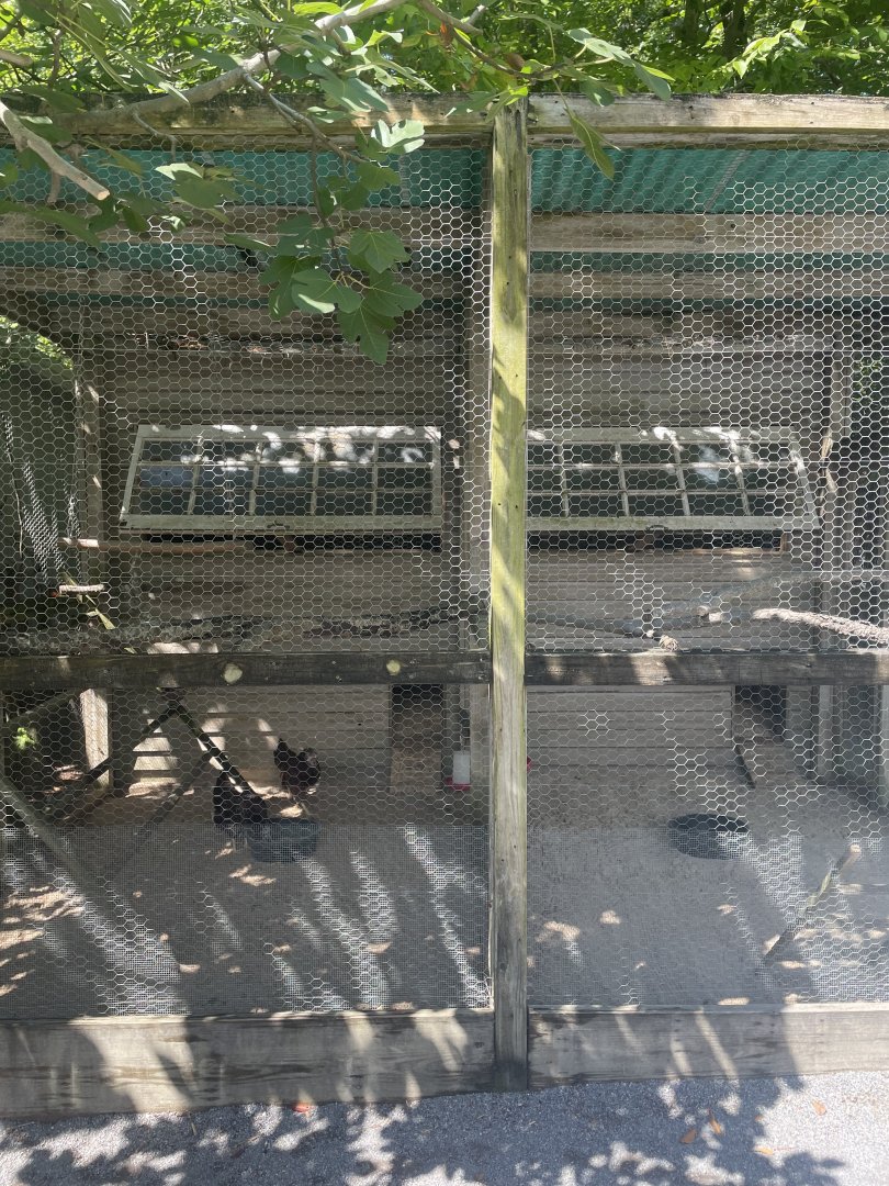 Birmingham Zoo- Wilds of Alabama- Chicken coop