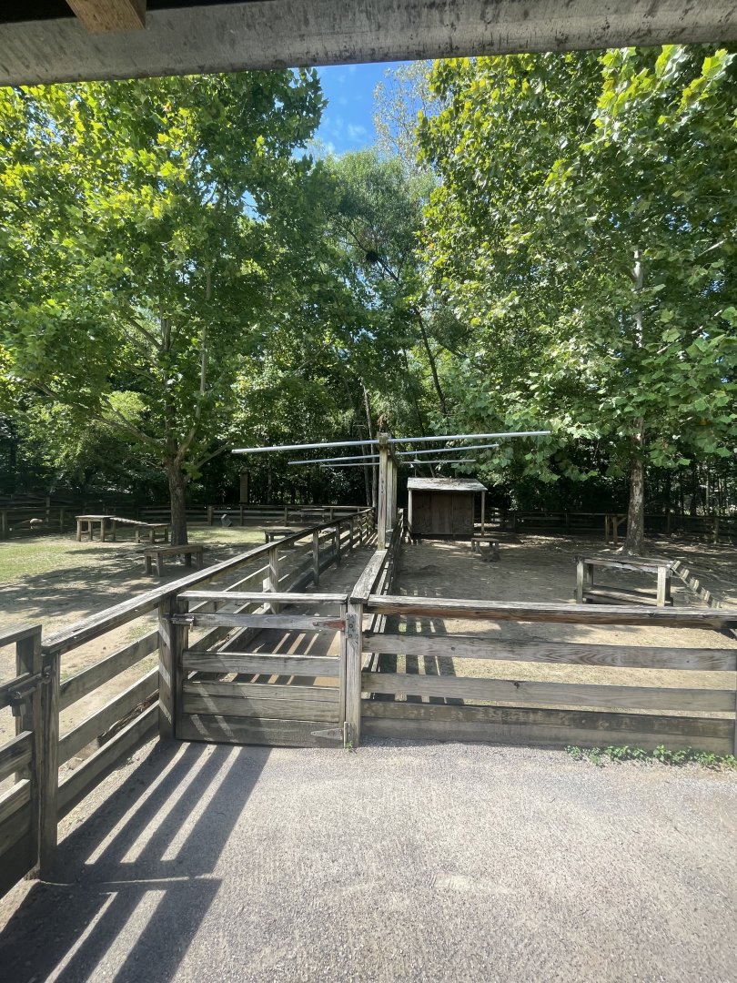 Birmingham Zoo- Wilds of Alabama- Donkey, goat, and sheep pens