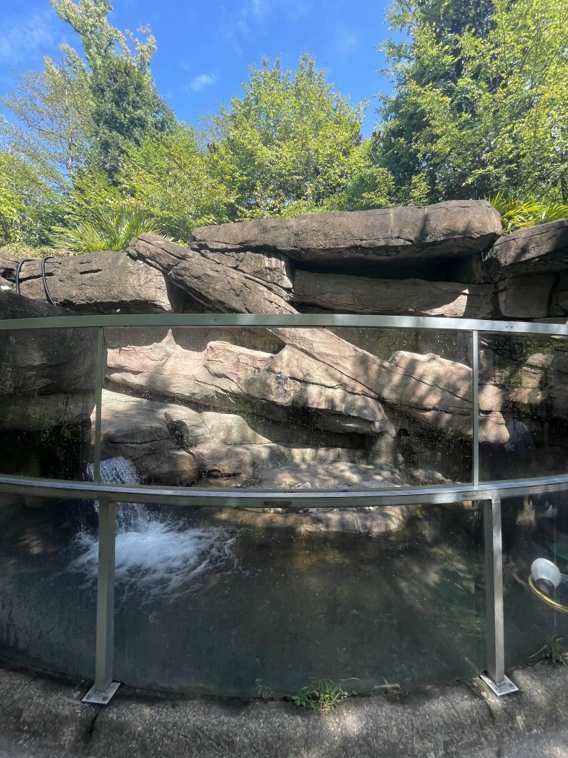 Birmingham Zoo- Wilds of Alabama- River otter exhibit #2
