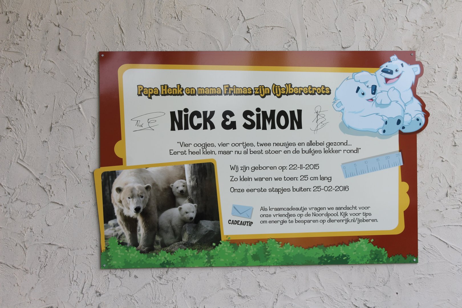 Birth-info Polar bears