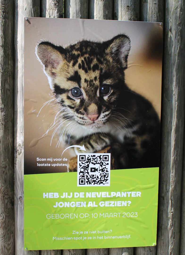 Birth-sign Clouded leopard