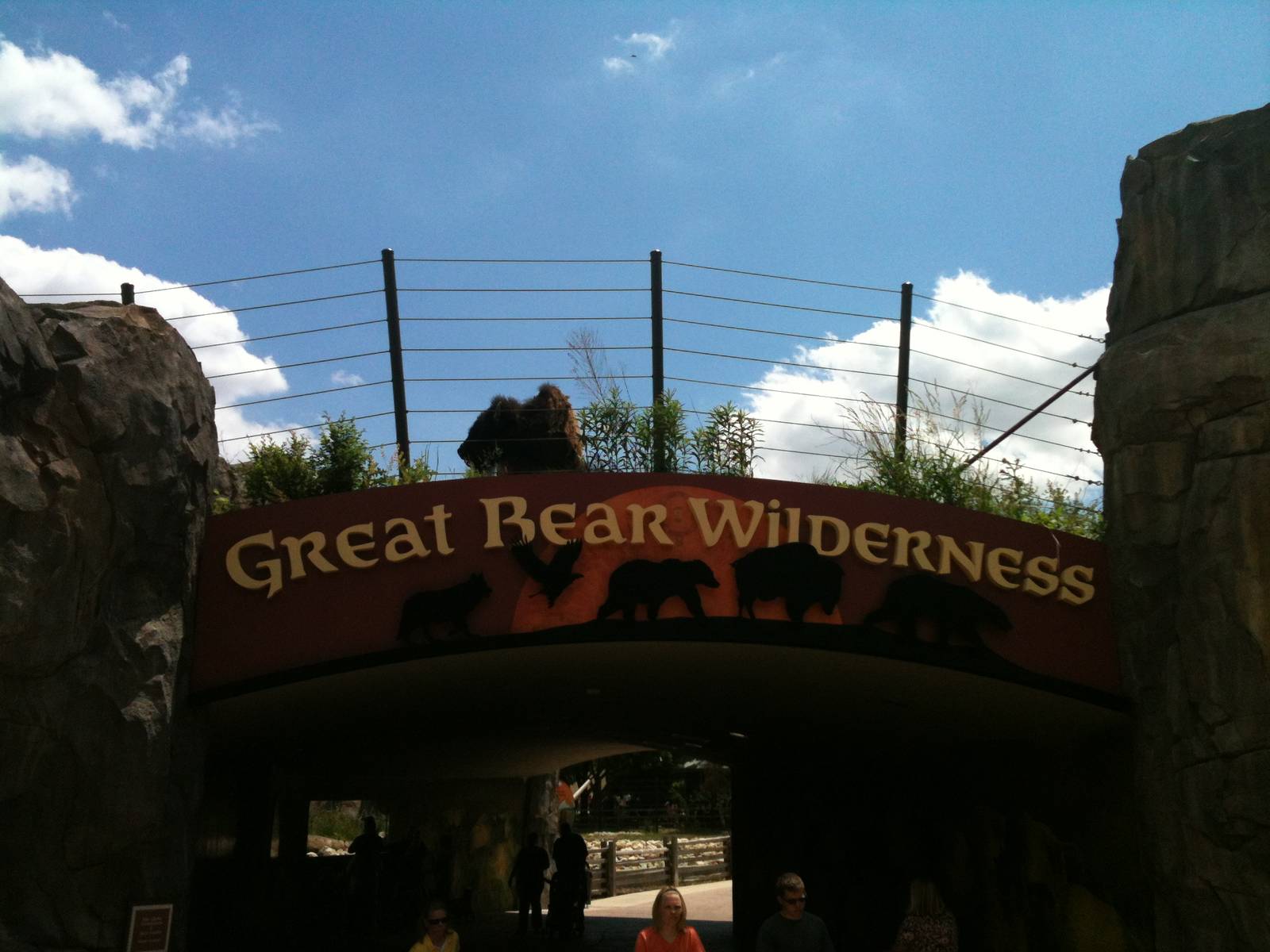 Bison above the tunnel.