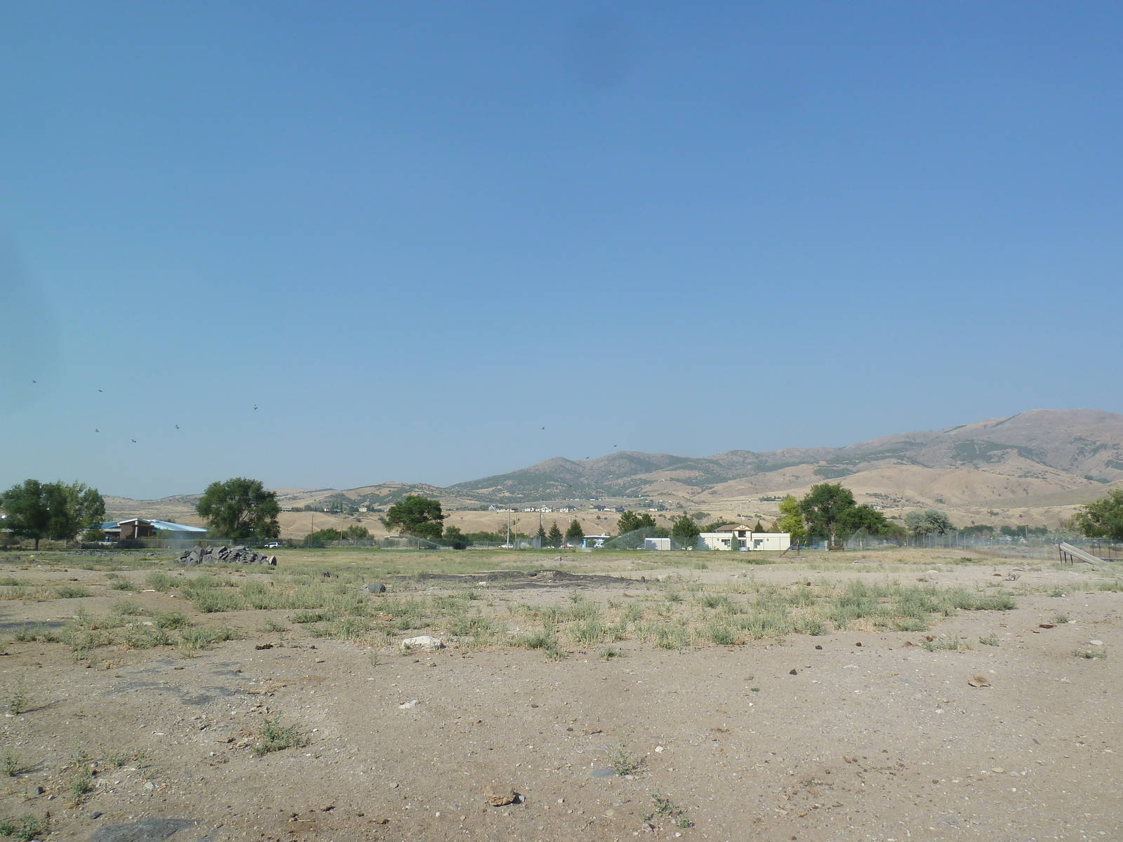 Bison/Elk/Pronghorn Antelope/White-Tailed Deer Exhibit
