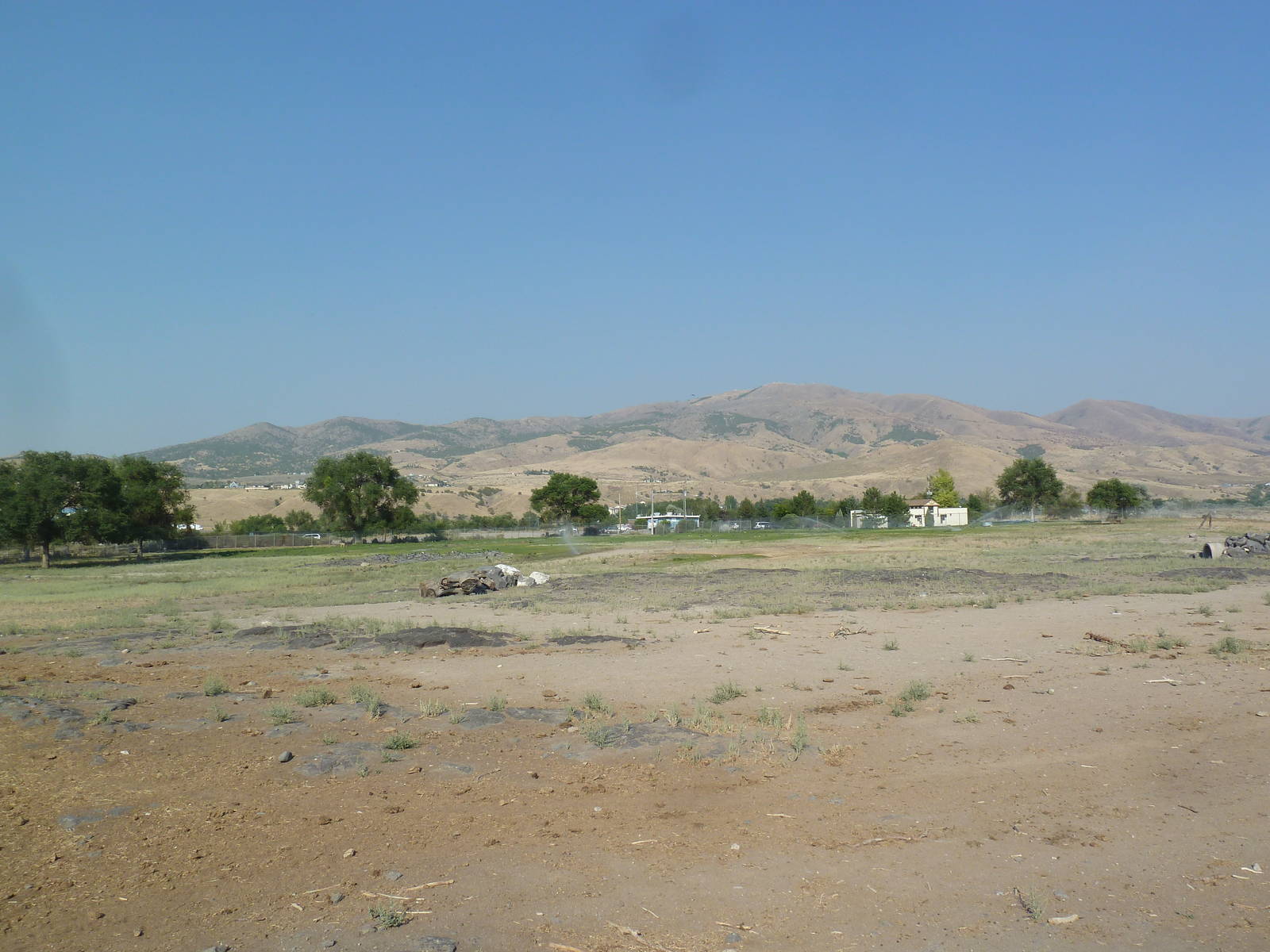 Bison/Elk/Pronghorn Antelope/White-Tailed Deer Exhibit