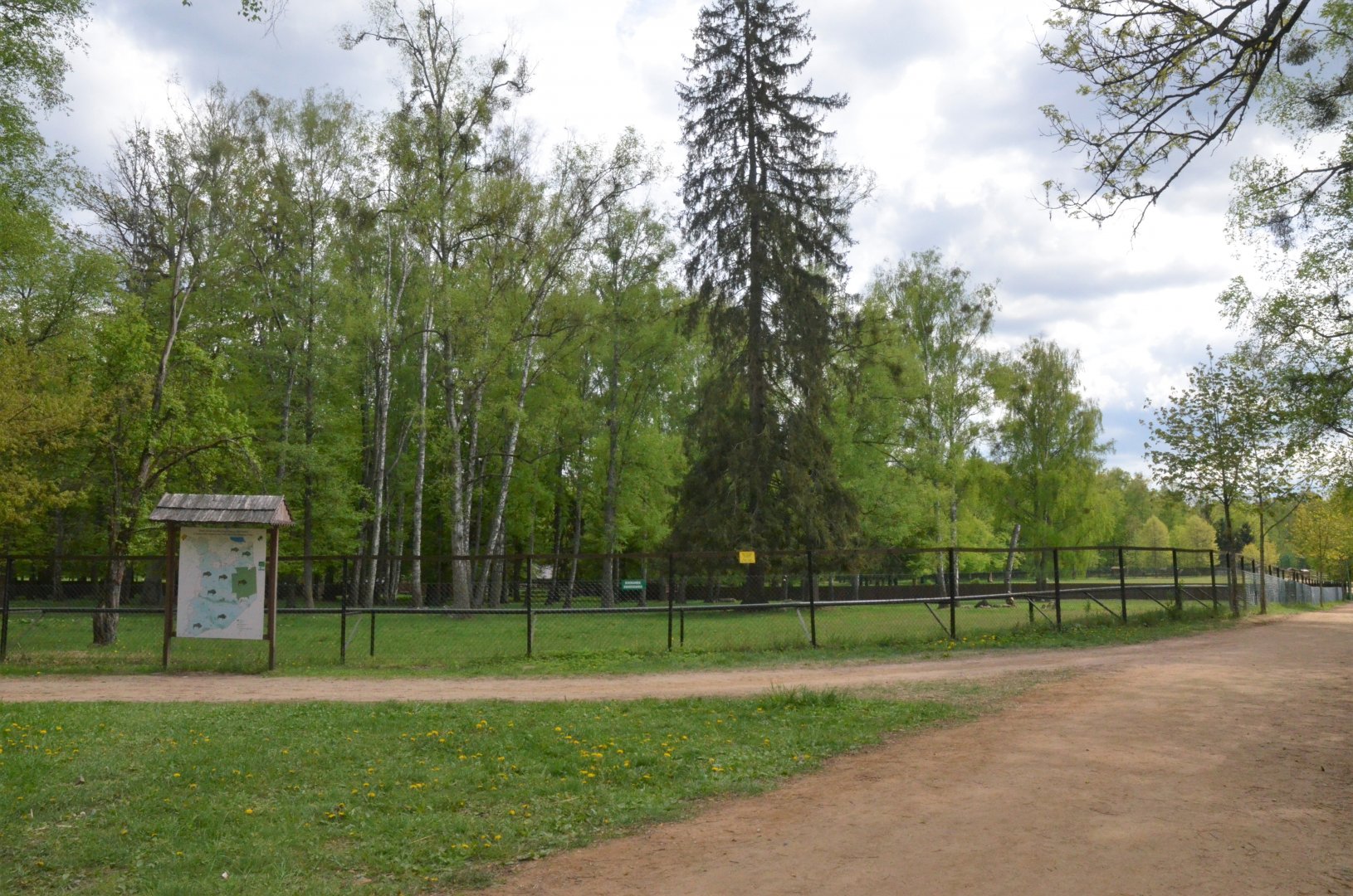 Bison Enclosure at Rezerwat Pokazowy Żubrów, Białowieża 07/05/19