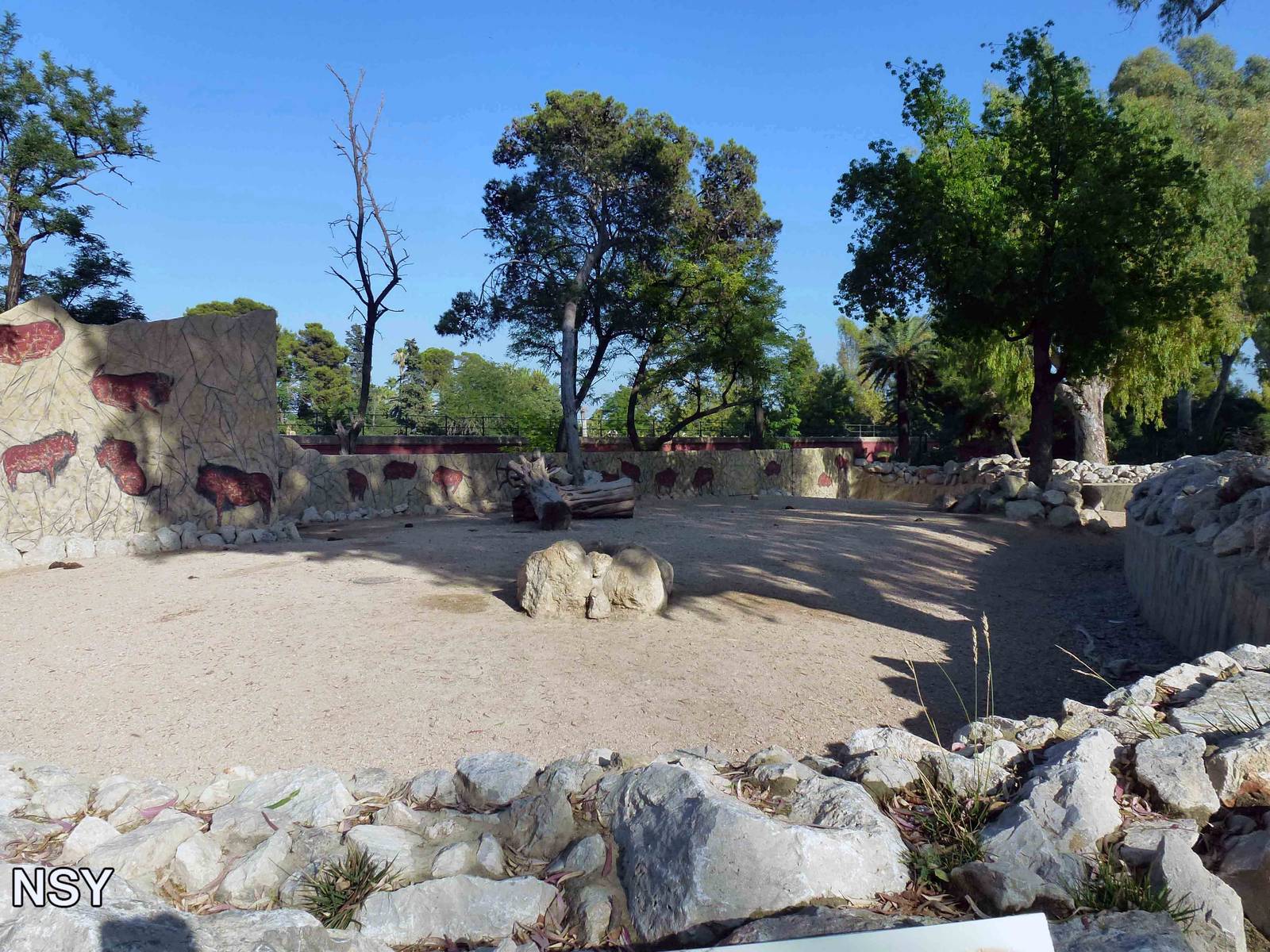 Bison enclosure, July 2013.