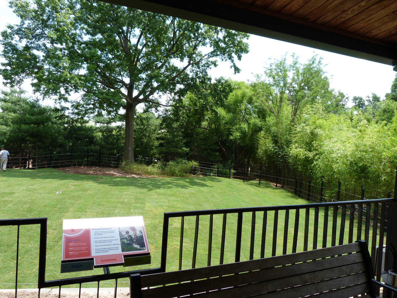 Bison Exhibit Construction - May 2014